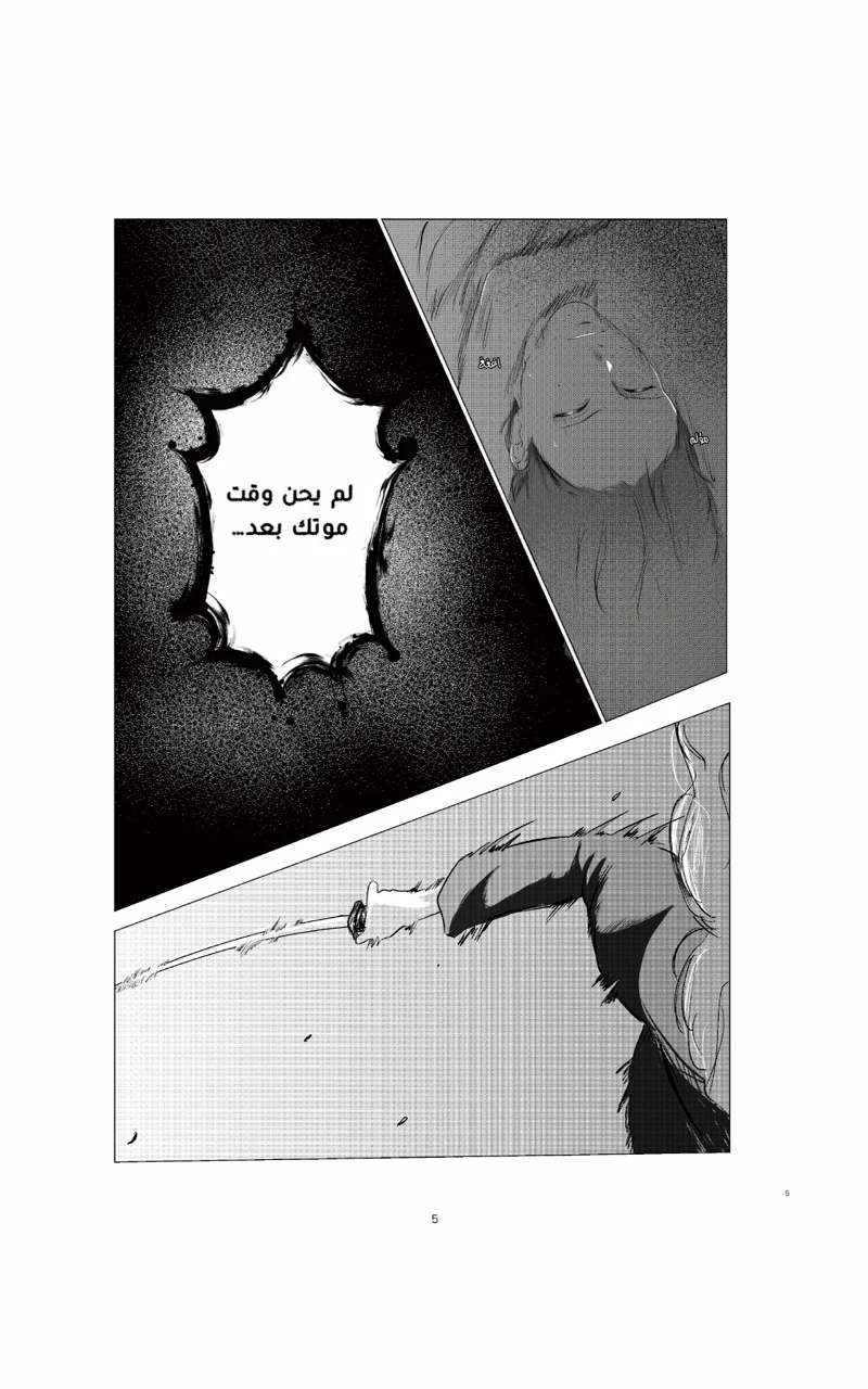 صورة الفصل