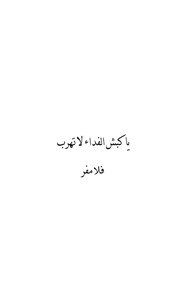 صورة الفصل